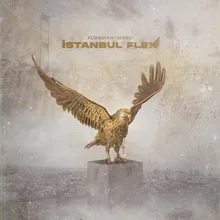 İstanbul Flex