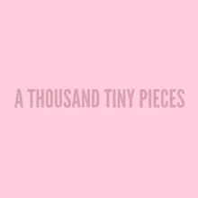 A Thousand Tiny Pieces (Revisited)