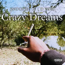 Crazy Dreams