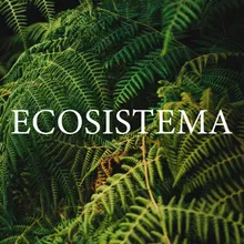 Ecosistema