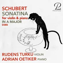 Violin Sonata (Sonatina) in A Minor, Op. 137 No. 2, D. 385: II. Andante