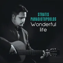 Wonderful Life Instrumental