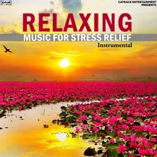 Relaxing Music For Stress Relief