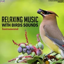 Relaxing Music With Birds Sounds