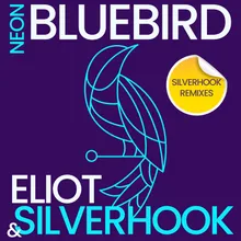 Neon Bluebird Silverhook Dub