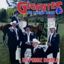 Viva Linares Polka