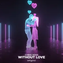 Without Love Extended Mix