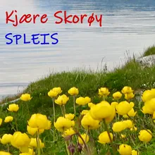 Kjære Skorøy