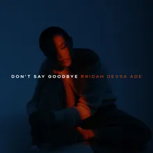 Don't Say Goodbye