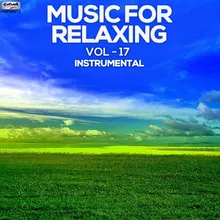 Music for Relaxing, Vol. 17