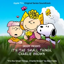It's the Small Things, Charlie Brown