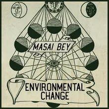 Environmental Change