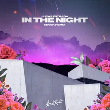 In the Night Sevek Remix