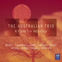 Piano Trio, Op. 50 "A la mémoire d'un grand artiste": I. Pezzo elegiaco