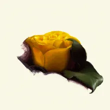 Yellow Rose