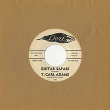 Guitar Safari