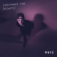 Everything's Fine Acoustic