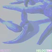 Velocity