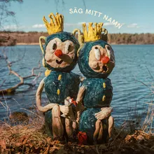 Säg mitt namn