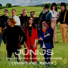 Jūnijs Mart Inc. Remix Radio versija