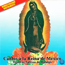 A Ti Virgencita (La Reina de Mexicana)