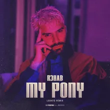 My Pony (Lodato Remix)