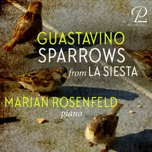 Carlos Guastavino: La Siesta: IV. Sparrows (Gorriones)