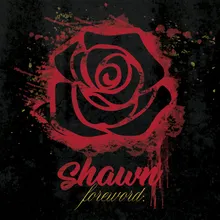 Shawn Na Na (feat. Rafael Saadiq)