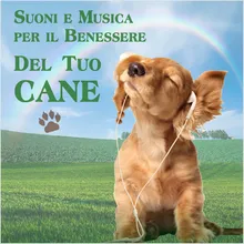 Cuore di cane