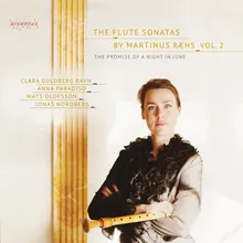 Flute Sonata No. 10 in D Major: I. Allegro moderato