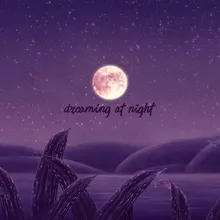 Dreaming At Night