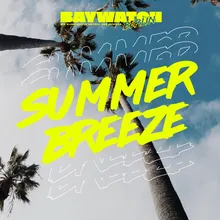 Summer Breeze Theme