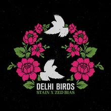 Delhi Birds