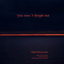 You Won't Forget Me