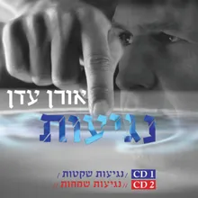 צל עץ תמר