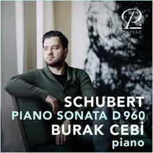 Piano Sonata D. 960 in B-Flat Major: II. Andante sostenuto