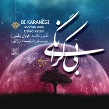 Bi Karanegi