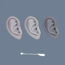 Who Has Ears?