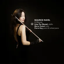 Sonata en quatre parties pour violon et violoncelle: I. Allegro