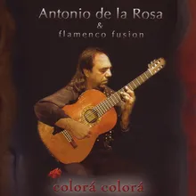 Flamenco Canario
