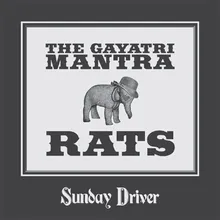 Rats (Radio Edit)