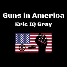 Guns in America