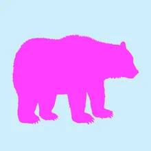 Mandy the Bear