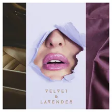 Velvet & Lavender