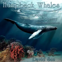 Humpback Whales - An Oceanic Odyssey