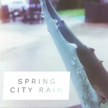 Spring Rain in the City