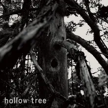 The Hollow Tree