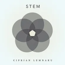 Stem