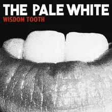 Wisdom Tooth