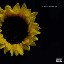 Sunflowers, Pt. 2